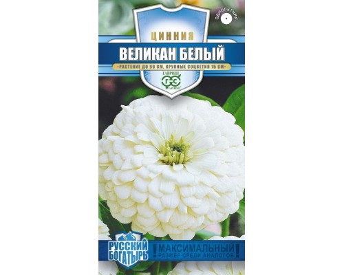 ЦИНИЯ ВЕЛИКАН БЕЛЫЙ