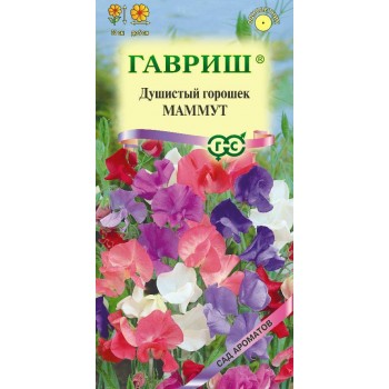 ДУШИСТЫЙ ГОРОШЕК МАММУТ
