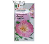 ПЕТУНИЯ ДОЛЬЧЕ ФЛОРЕНЦИЯ