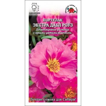 ПОРТУЛАК ЭКСТРА ДАБЛ РОУЗ