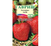 ЗАРЯ