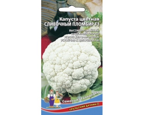 СЛИВОЧНЫЙ ПЛОМБИР