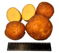 АЛКА СУПЕР ЭЛИТА (1кг) 