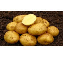 НАНДИНА (1 кг) элита