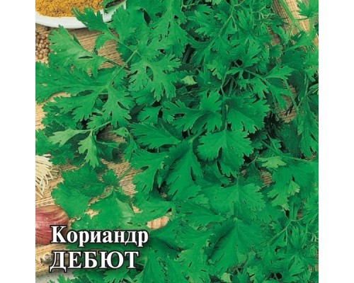 КОРИАНДР (КИНЗА) ДЕБЮТ 25г