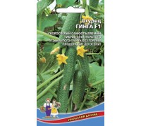 ГИНГА F1