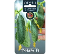 ТУНДРА F1