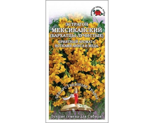 ЭСТРАГОН МЕКСИКАНСКИЙ (БАРХАТЦЫ ЛУЧИСТЫЕ) 