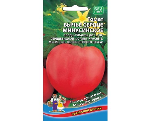 БЫЧЬЕ СЕРДЦЕ МИНУСИНСКОЕ