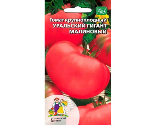 УРАЛЬСКИЙ ГИГАНТ МАЛИНОВЫЙ