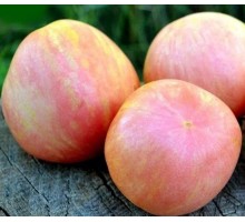 РОЗОВЫЙ ПУШИСТЫЙ КАБАН (Pink Furry Boar), 10 шт