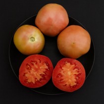 ЖЕМЧУЖНЫЙ ПЬЕННЛО АГНИИ АГАРТИ (Piennolo perlato D'Agnia Agarthy), 10 шт