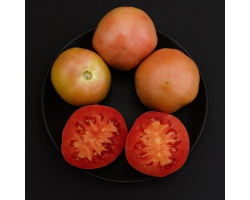 ЖЕМЧУЖНЫЙ ПЬЕННЛО АГНИИ АГАРТИ (Piennolo perlato D'Agnia Agarthy), 10 шт