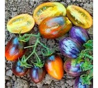 АТОМНЫЙ ВИНОГРАД БРЭДА, 10 шт