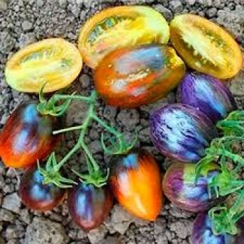 АТОМНЫЙ ВИНОГРАД БРЭДА, 10 шт