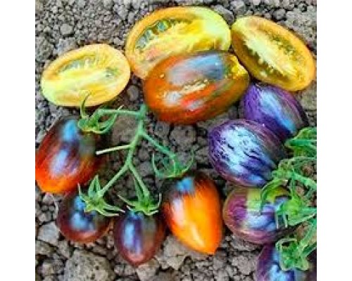 АТОМНЫЙ ВИНОГРАД БРЭДА, 10 шт