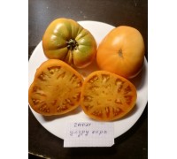 ГНОМ УЛУРУ ОХРА (Uluru Ochre), 10 шт