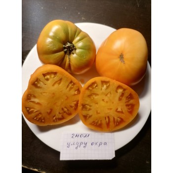 ГНОМ УЛУРУ ОХРА (Uluru Ochre), 10 шт