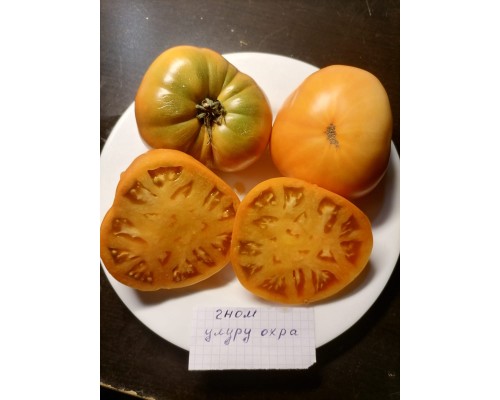 ГНОМ УЛУРУ ОХРА (Uluru Ochre), 10 шт