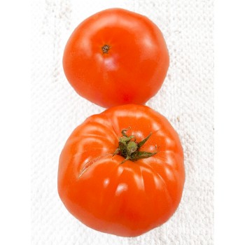 ГРЕЧЕСКАЯ ДОМАТА (Greek Domata), 10 шт