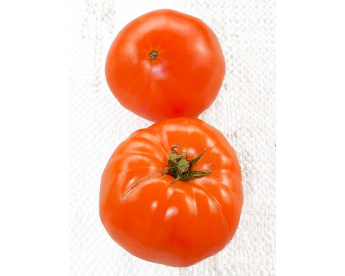 ГРЕЧЕСКАЯ ДОМАТА (Greek Domata), 10 шт