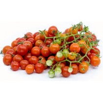 БЕЗУМИЕ РУБНОВОЙ СМОРОДИНЫ (Ruby Rush Currant), 10 шт
