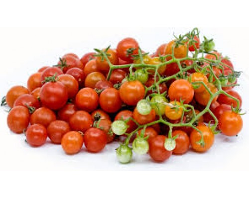 БЕЗУМИЕ РУБНОВОЙ СМОРОДИНЫ (Ruby Rush Currant), 10 шт