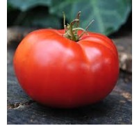 МАУ ФЕЙ, 10 шт