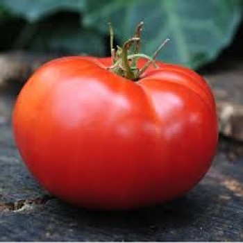 МАУ ФЕЙ, 10 шт