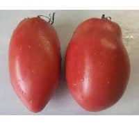 МИНУСИНСКОЕ ЧУДО ИЗ ПОДСИНЕЕ, 10 шт