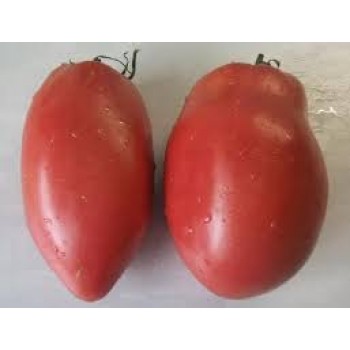 МИНУСИНСКОЕ ЧУДО ИЗ ПОДСИНЕЕ, 10 шт