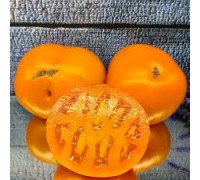 МИНУСИНСКОЕ МАНГО, 10 шт