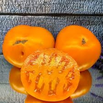 МИНУСИНСКОЕ МАНГО, 10 шт