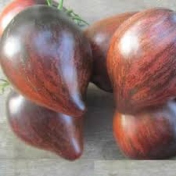 МЯТЕЖНЫЙ ЗВЕЗДНЫЙ ИСТРЕБИТЕЛЬ (Rebel starfighter prime), 10 шт