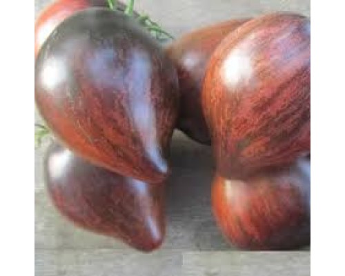 МЯТЕЖНЫЙ ЗВЕЗДНЫЙ ИСТРЕБИТЕЛЬ (Rebel starfighter prime), 10 шт