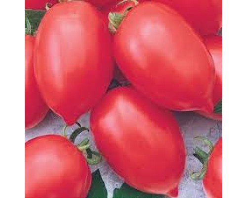 НАДЕЖДА ТАРАСЕНКО, 10 шт