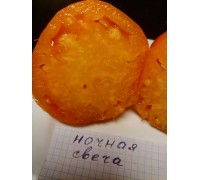 НОЧНАЯ СВЕЧА, 10 шт