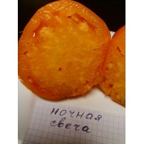 НОЧНАЯ СВЕЧА, 10 шт