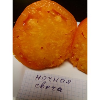 НОЧНАЯ СВЕЧА, 10 шт