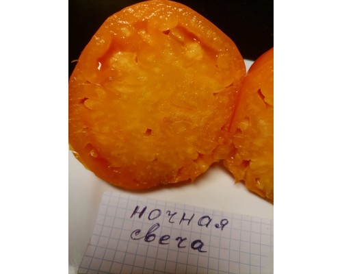 НОЧНАЯ СВЕЧА, 10 шт