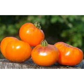 САН-СИНИЙ (Sun Blue), 10 шт