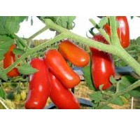 ВЕСЕЛЫЙ ГНОМ, 10 шт