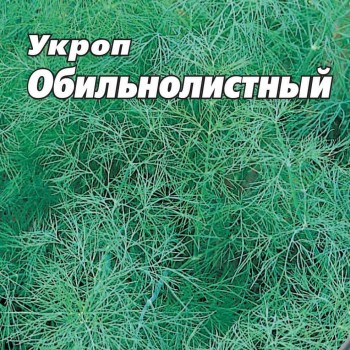 УКРОП ОБИЛЬНОЛИСТНЫЙ, 25 г