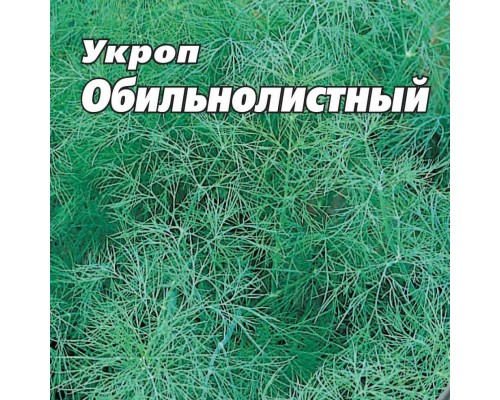 УКРОП ОБИЛЬНОЛИСТНЫЙ, 25 г