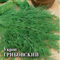 УКРОП ГРИБОВСКИЙ, 25 г