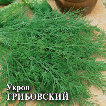 УКРОП ГРИБОВСКИЙ, 25 г