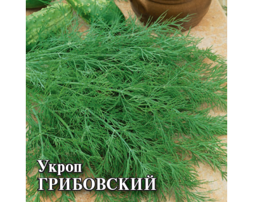 УКРОП ГРИБОВСКИЙ, 25 г